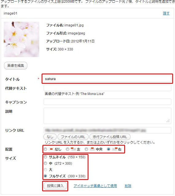 挿入する画像についての情報